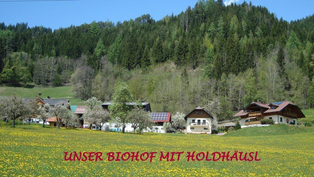 Holdhaeusl Apartment Schladming Room photo